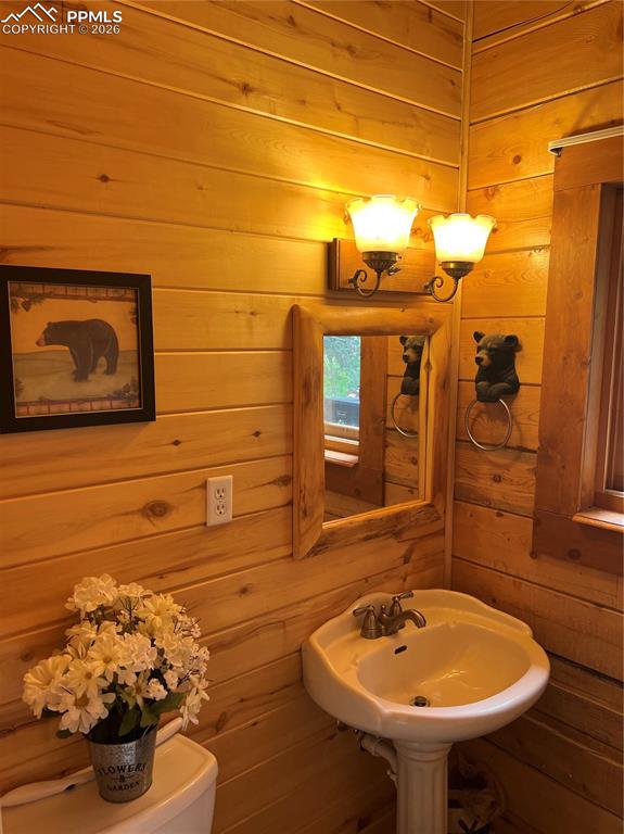 87 Thompson Road La Veta CO 81055