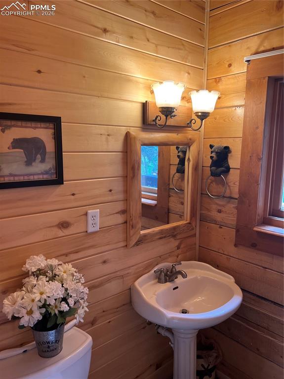 87 Thompson Road La Veta CO 81055