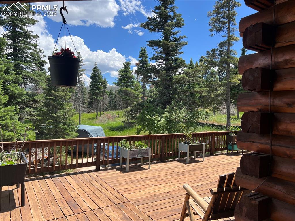 87 Thompson Road La Veta CO 81055