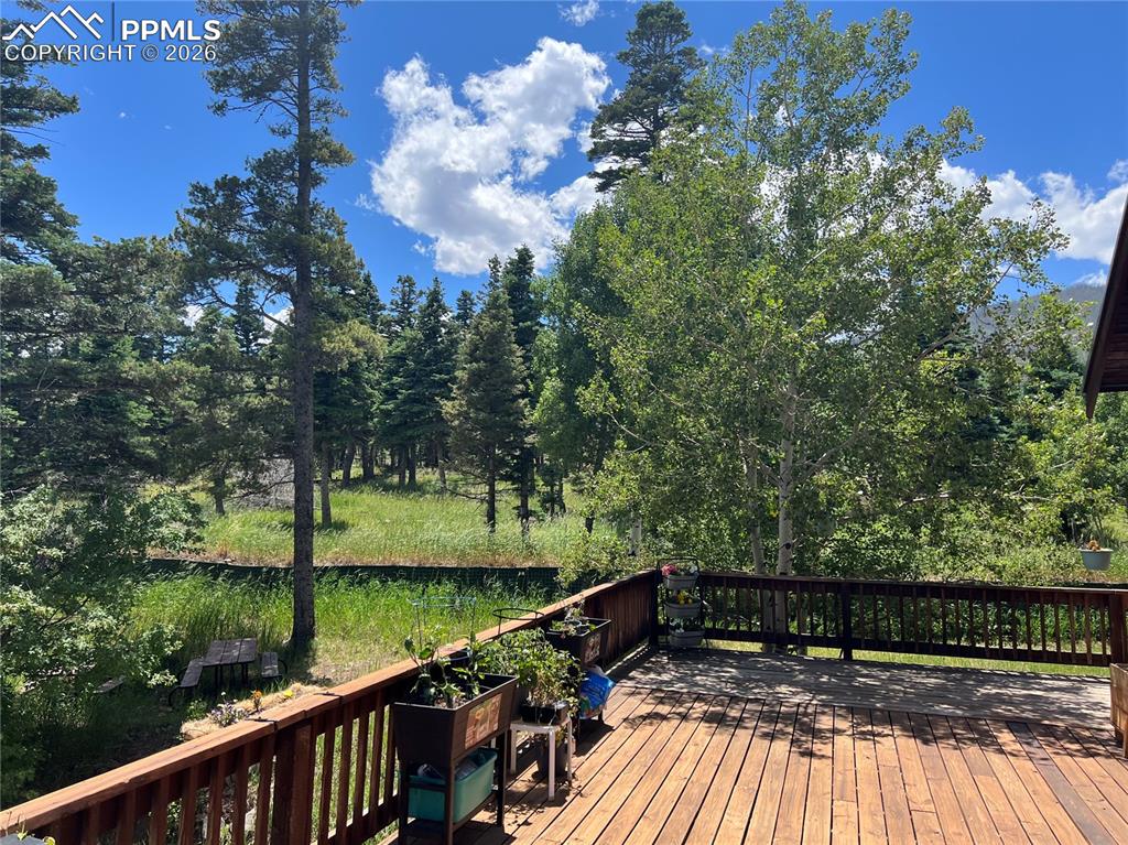 87 Thompson Road La Veta CO 81055