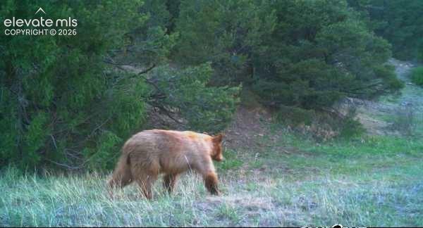 28790 County Road 63.1 Aguilar CO 81020