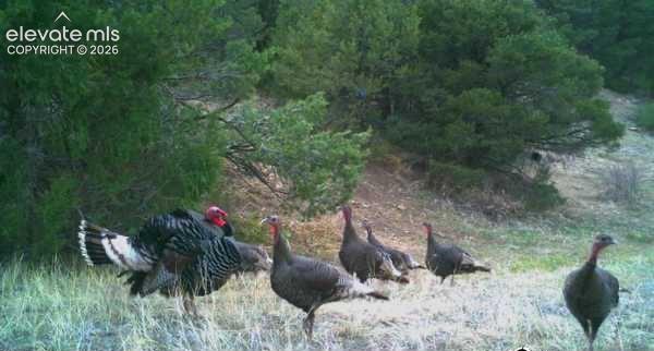 28790 County Road 63.1 Aguilar CO 81020