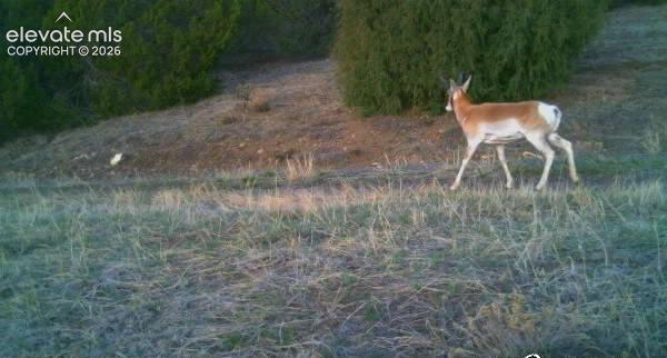28790 County Road 63.1 Aguilar CO 81020