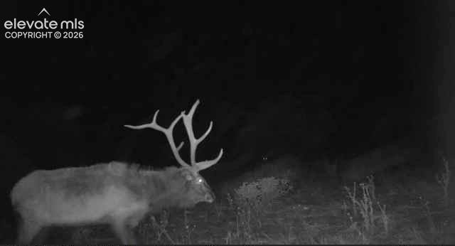 28790 County Road 63.1 Aguilar CO 81020