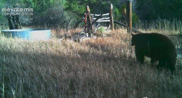 28790 County Road 63.1 Aguilar CO 81020