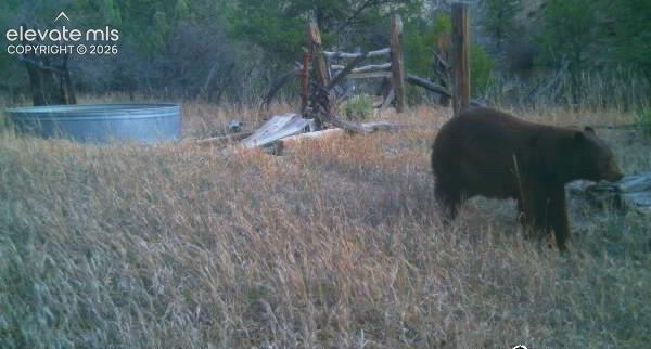 28790 County Road 63.1 Aguilar CO 81020