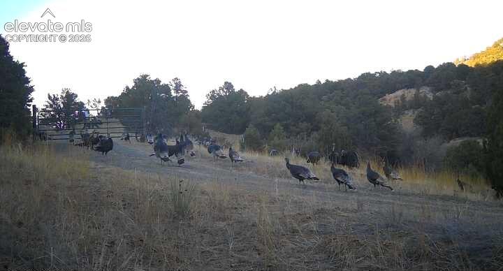 28790 County Road 63.1 Aguilar CO 81020