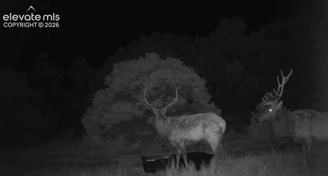 28790 County Road 63.1 Aguilar CO 81020