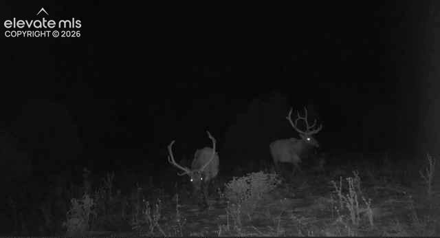28790 County Road 63.1 Aguilar CO 81020