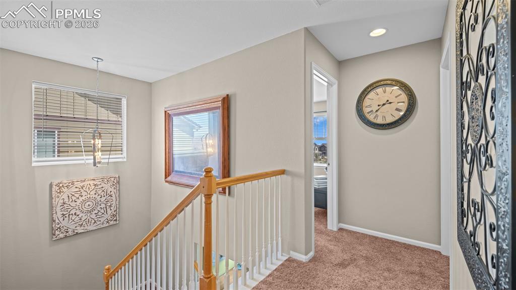 6777 Ironwood Tree Circle Colorado Springs CO 80927