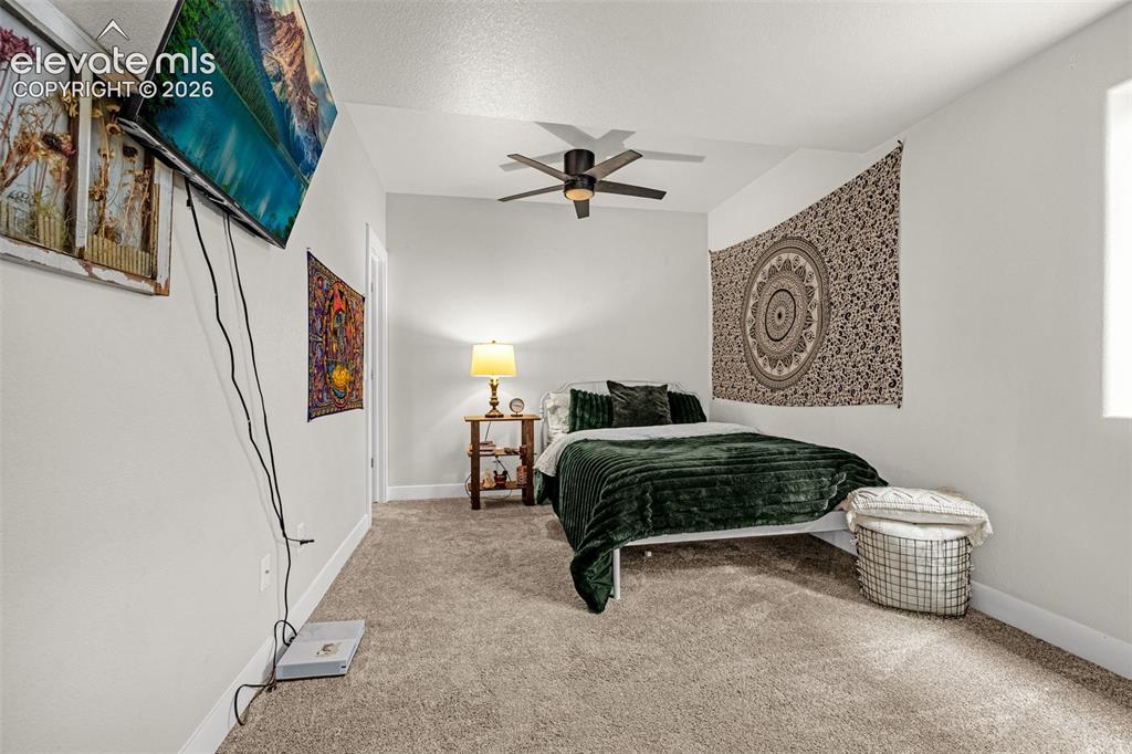 8913 Bugaboo Drive Colorado Springs CO 80924