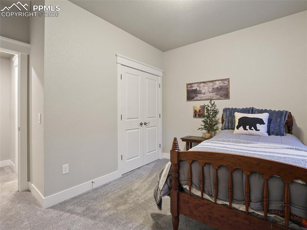 16015 Mountain Flax Drive Monument CO 80132