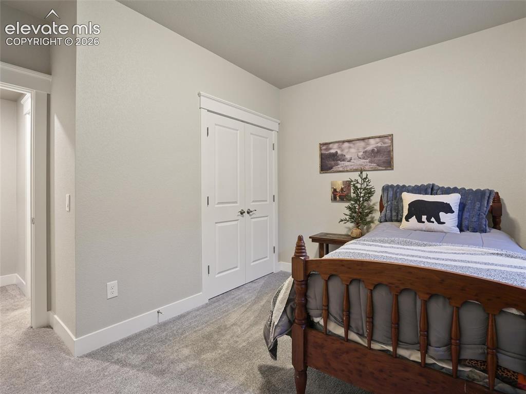 16015 Mountain Flax Drive Monument CO 80132