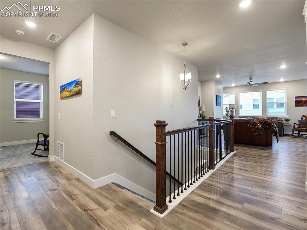 16015 Mountain Flax Drive Monument CO 80132