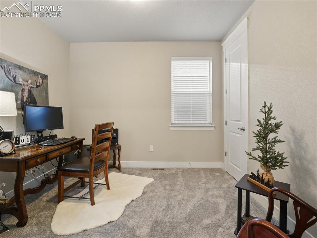 16015 Mountain Flax Drive Monument CO 80132