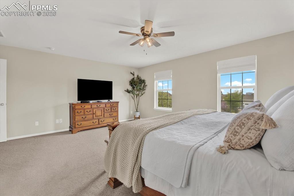 7106 Golden Acacia Lane Colorado Springs CO 80927