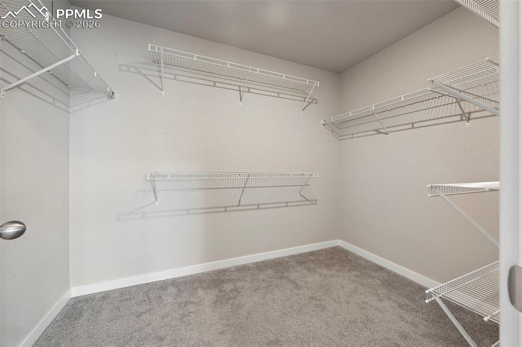 5185 Roundhouse Drive Colorado Springs CO 80925