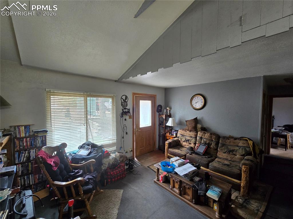 855 Will Stutley Drive Divide CO 80814