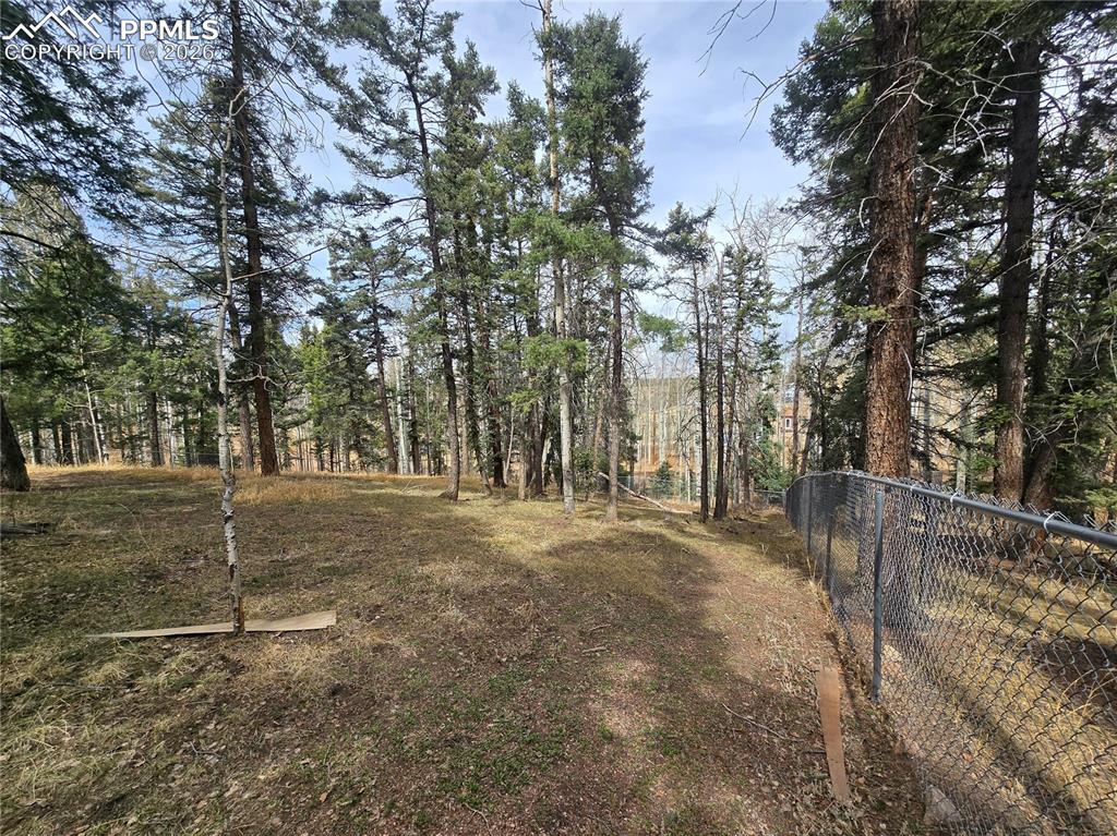 855 Will Stutley Drive Divide CO 80814