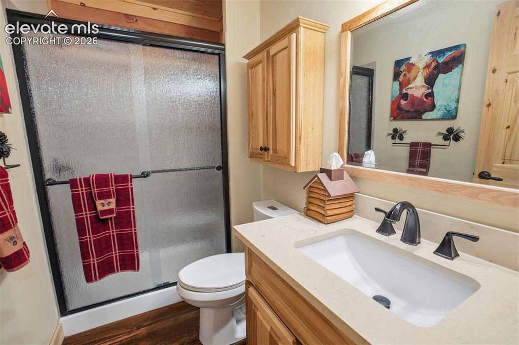 875 Hackamore Drive Florissant CO 80816