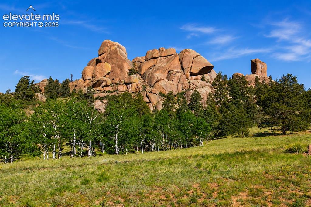 875 Hackamore Drive Florissant CO 80816