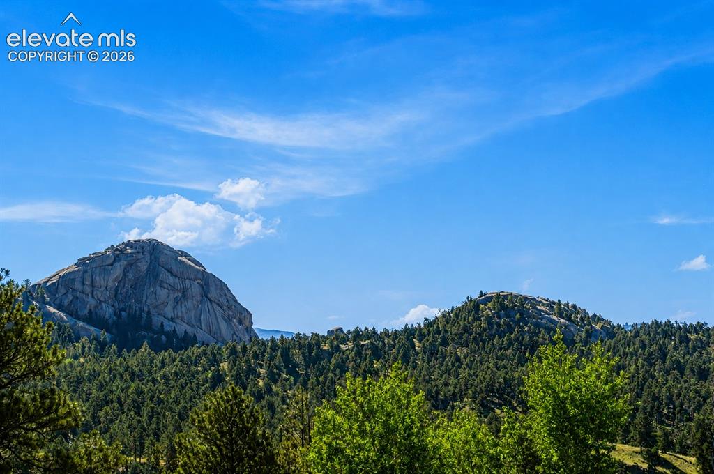 875 Hackamore Drive Florissant CO 80816