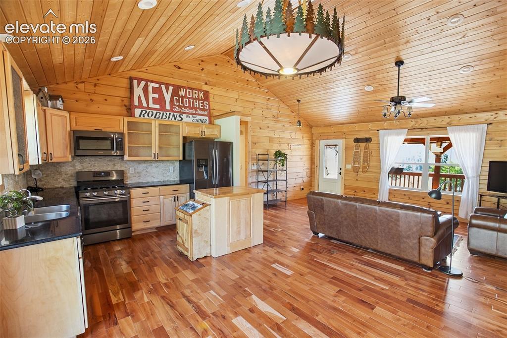 875 Hackamore Drive Florissant CO 80816