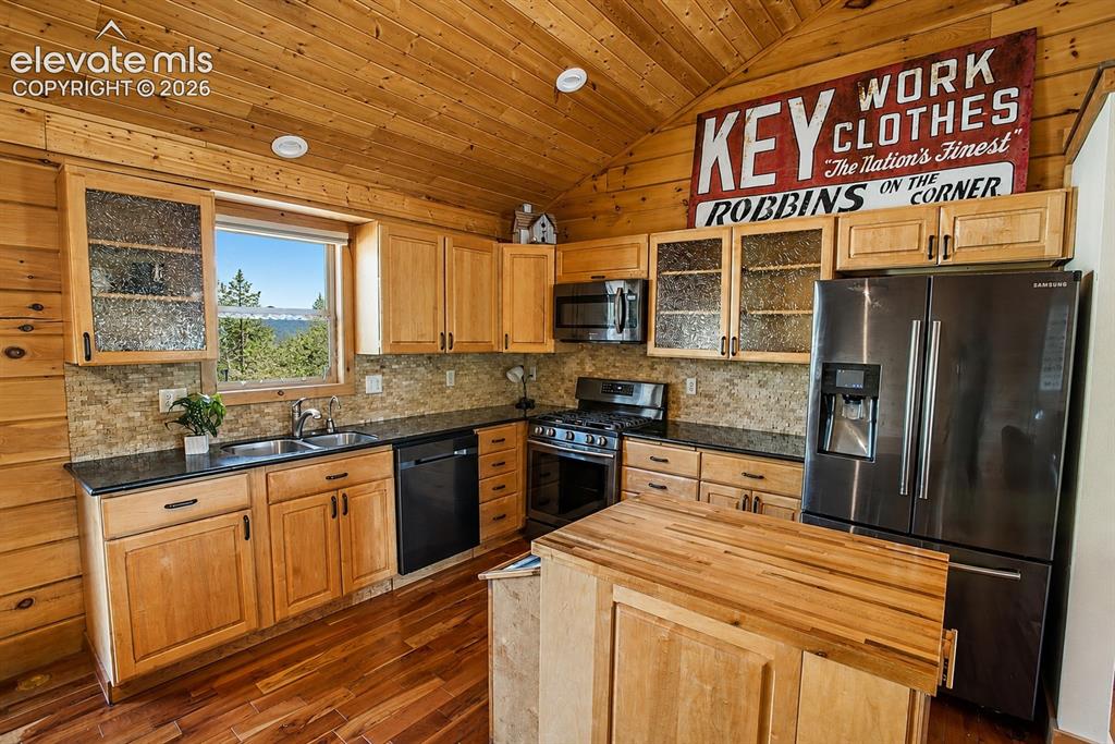 875 Hackamore Drive Florissant CO 80816