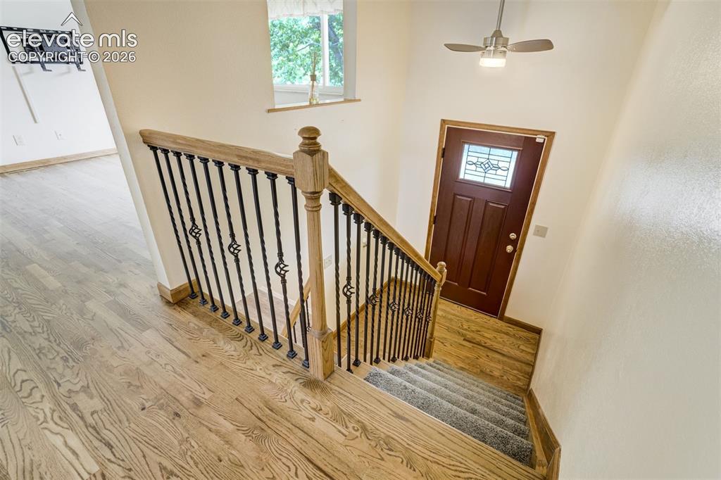 2814 Ridgeglen Place Colorado Springs CO 80918