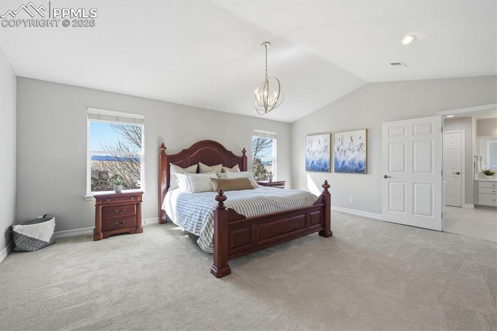 3813 Sky Hawk Court Castle Rock CO 80109