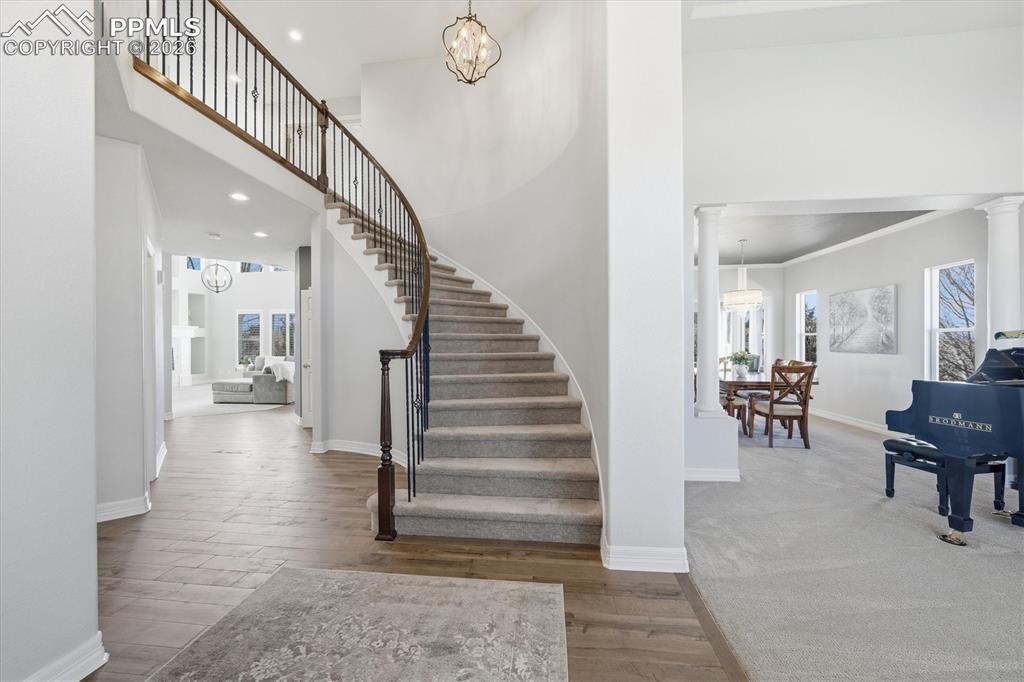 3813 Sky Hawk Court Castle Rock CO 80109
