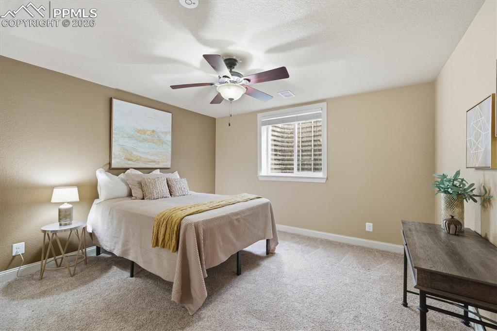 3813 Sky Hawk Court Castle Rock CO 80109