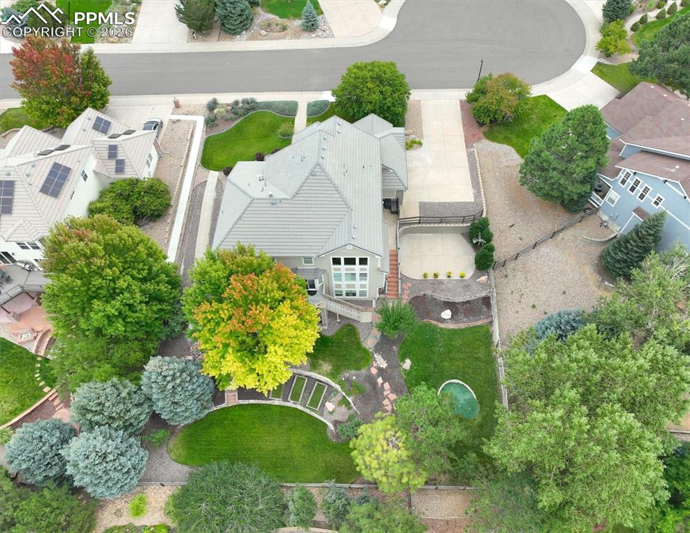 3813 Sky Hawk Court Castle Rock CO 80109