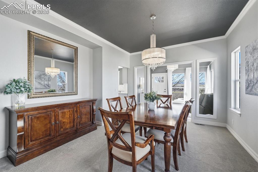 3813 Sky Hawk Court Castle Rock CO 80109