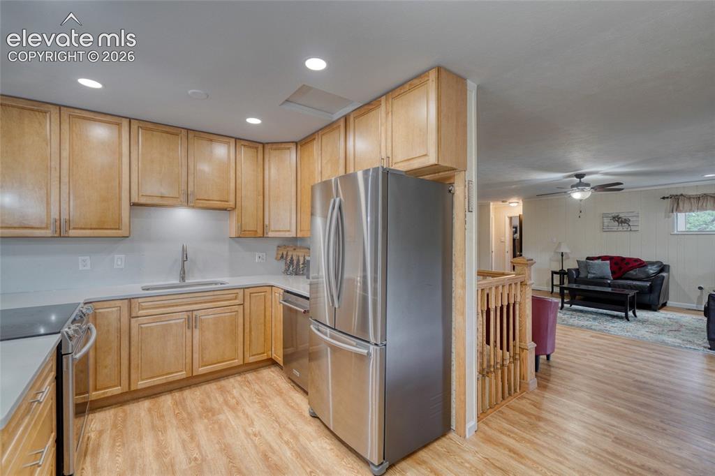 435 Phyllis Drive Florissant CO 80816