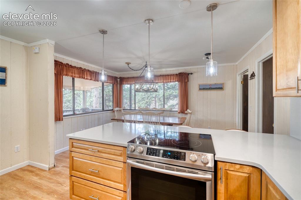 435 Phyllis Drive Florissant CO 80816