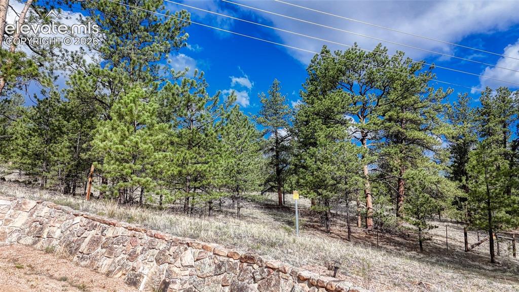 435 Phyllis Drive Florissant CO 80816