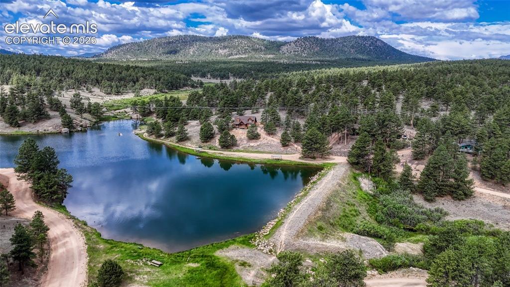 435 Phyllis Drive Florissant CO 80816
