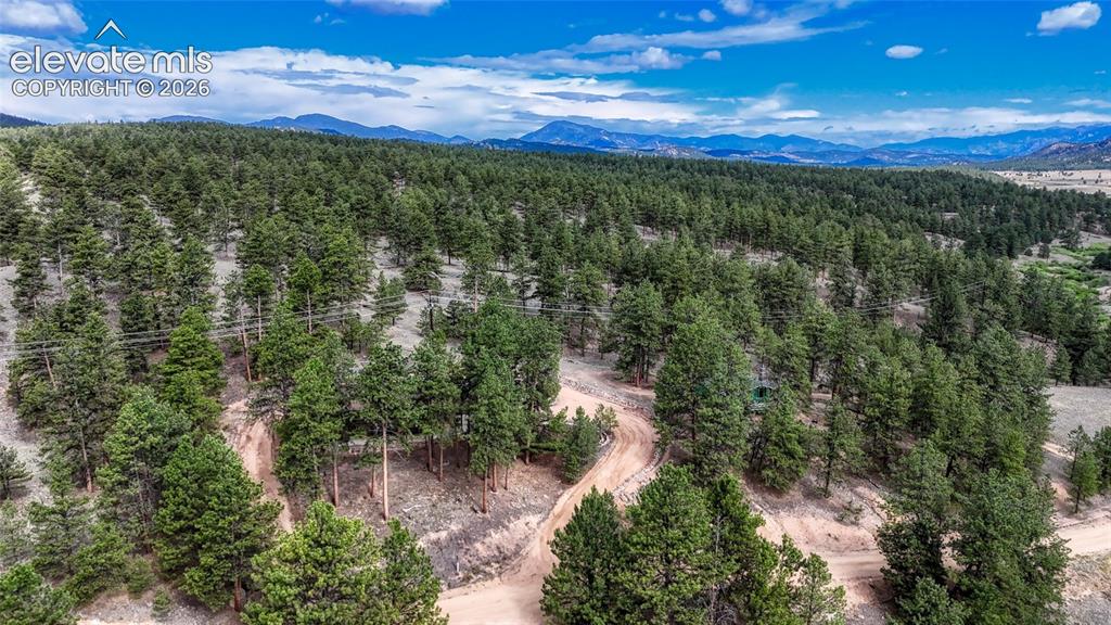 435 Phyllis Drive Florissant CO 80816