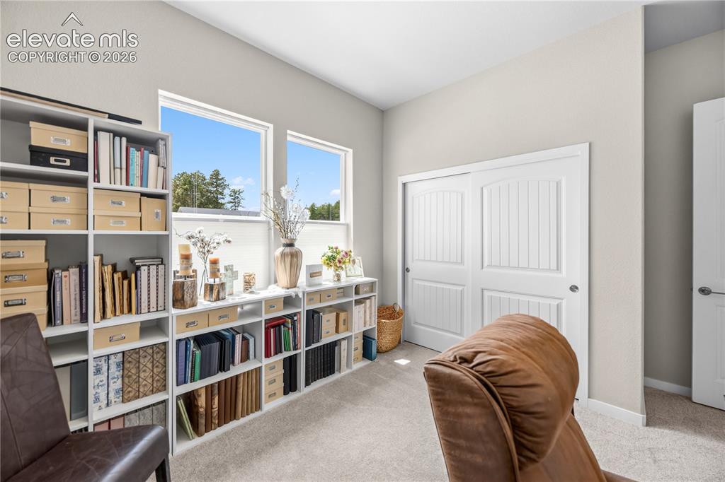 16297 Forest Cloud Way Monument CO 80132