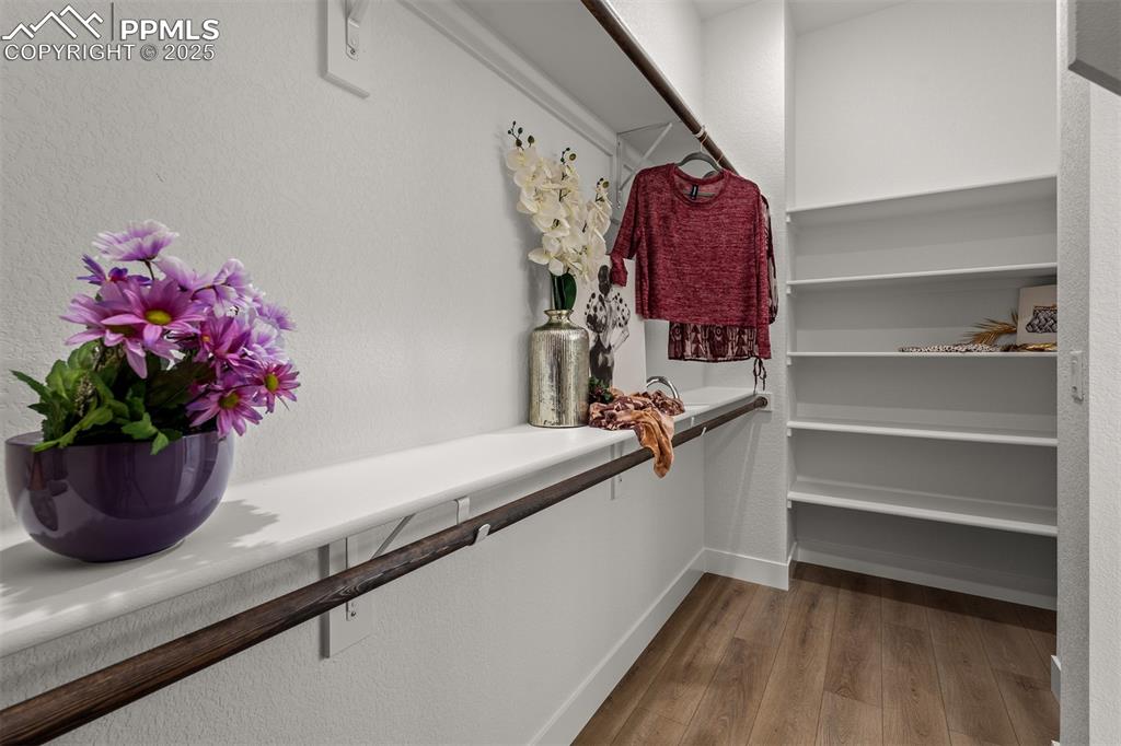 6677 Thimble Court Colorado Springs CO 80924