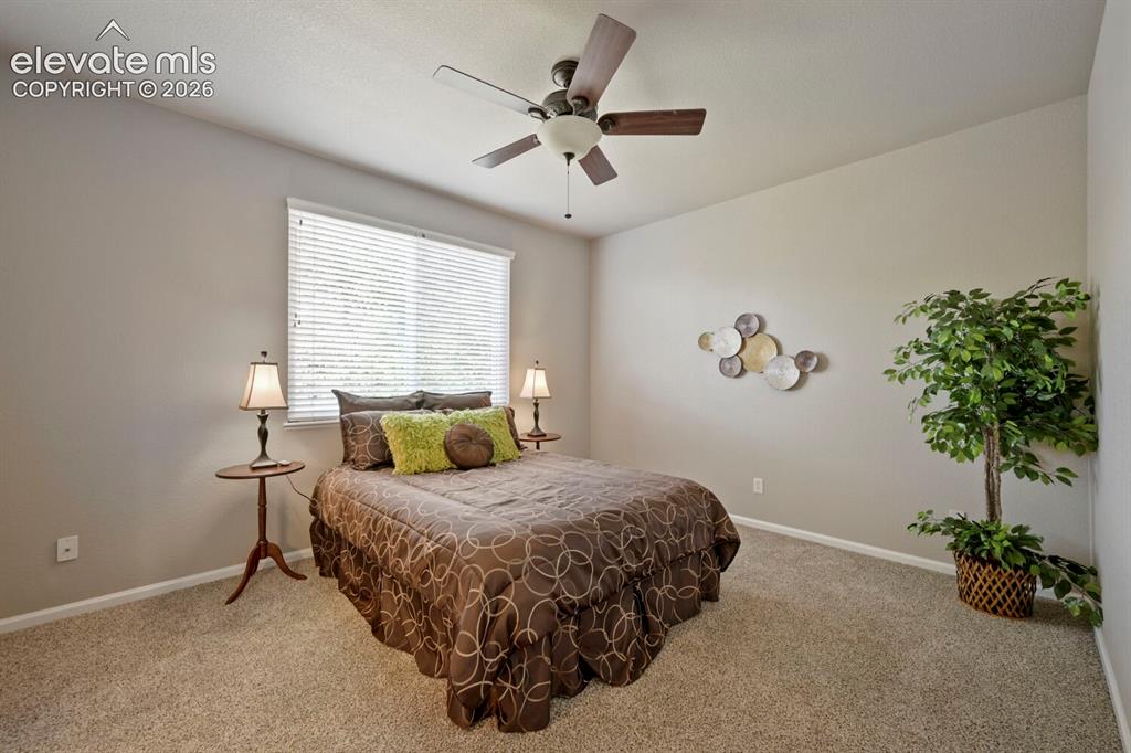 4406 Crow Creek Drive Colorado Springs CO 80922