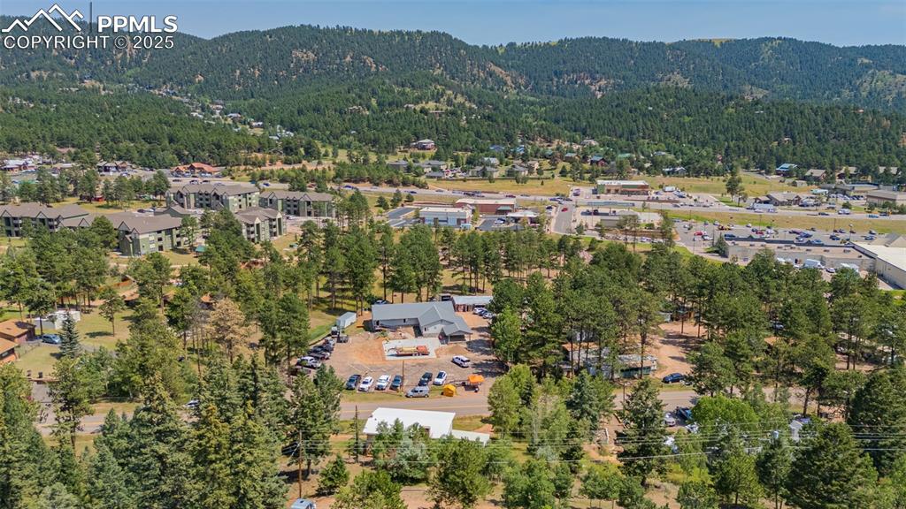 1030 Woodland Avenue Woodland Park CO 80863