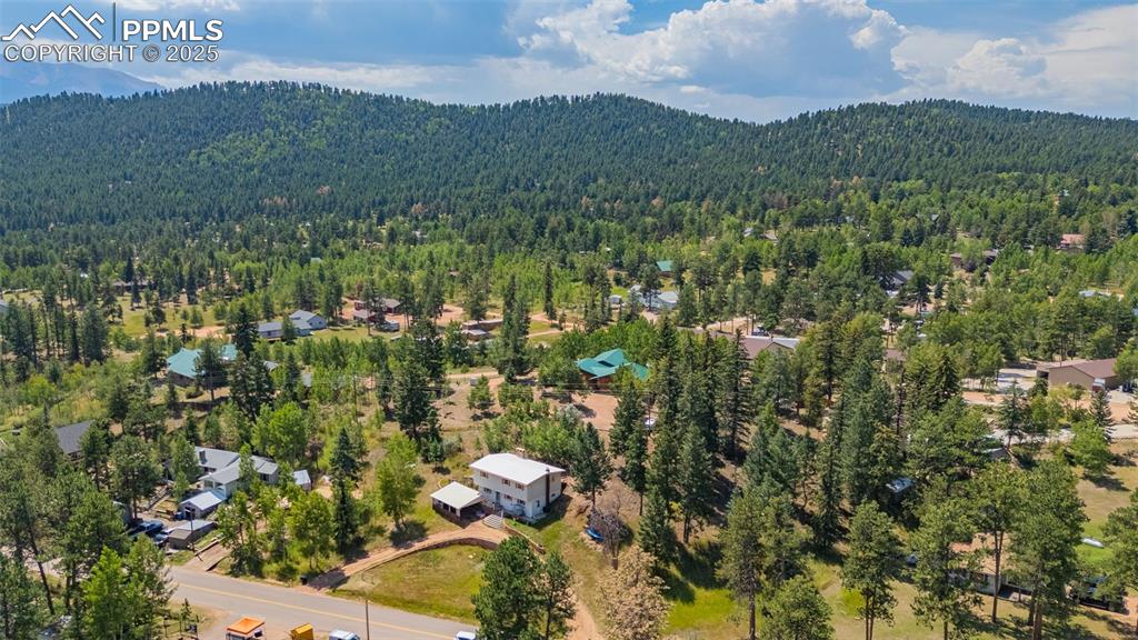1030 Woodland Avenue Woodland Park CO 80863
