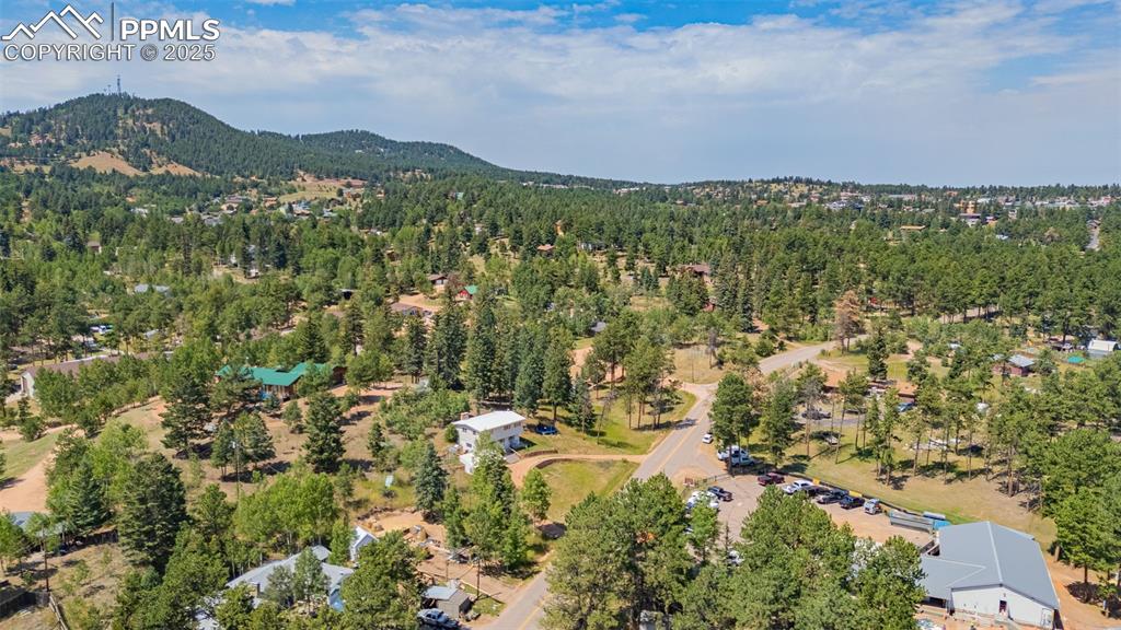 1030 Woodland Avenue Woodland Park CO 80863