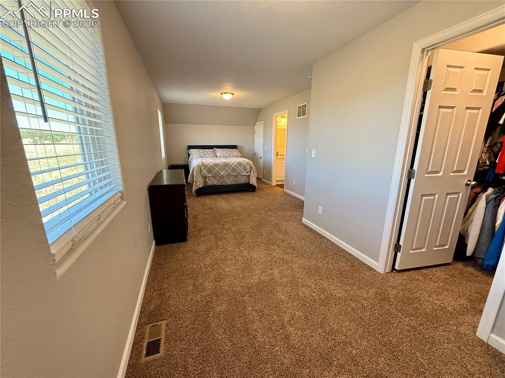 61 Stripling Lane Divide CO 80814