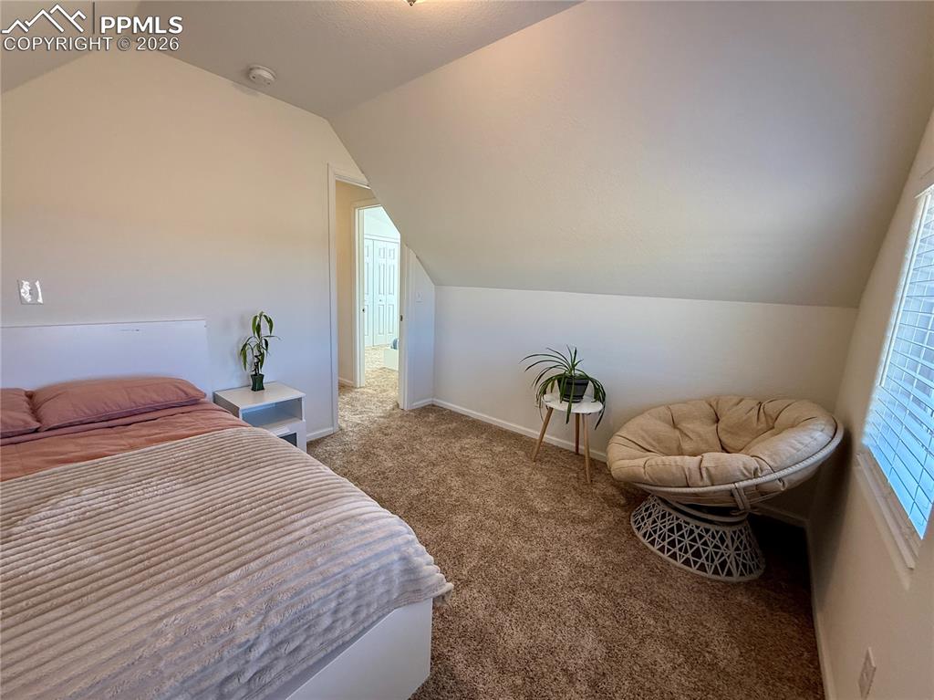 61 Stripling Lane Divide CO 80814