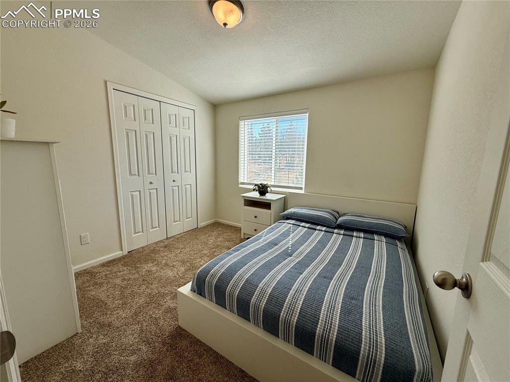 61 Stripling Lane Divide CO 80814