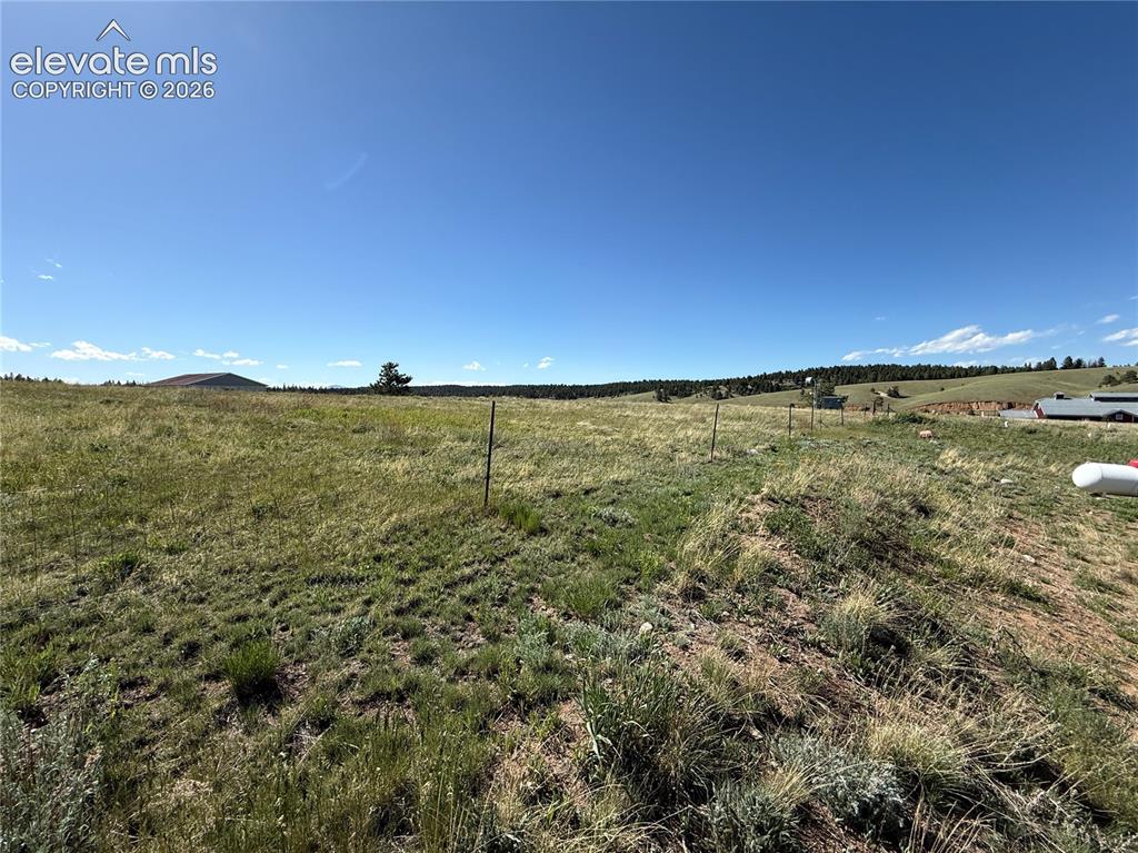 61 Stripling Lane Divide CO 80814