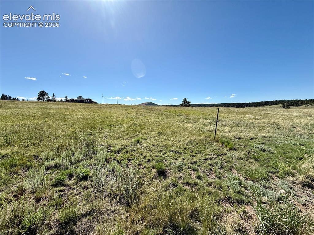 61 Stripling Lane Divide CO 80814